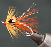 Fly